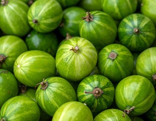 A close-up perspective showcases a collection of small, round, green fruits with light green stripes, arranged closely together