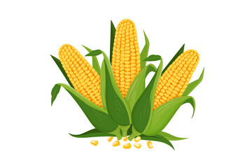 Obraz premium Fresh Corn on the Cob with Green Leaves Isolated on White Background Representing Healthy Eating and Agriculture
