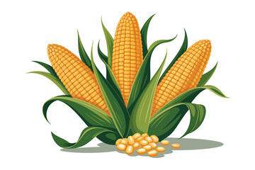 Fresh Corn on the Cob Illustration with Green Leaves and Loose Kernels on White Background Healthy Eating and Agricultural Harvest