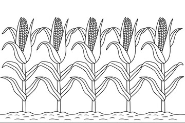 Detailed Corn Field Outlines Illustration Ready to Color for Educational Projects and Creative Coloring Books