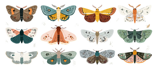 Obraz premium Beautifully illustrated set of colorful moths on white background.