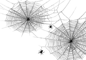 Obraz premium Intricate black and white illustration of spiderwebs and spiders.