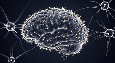 Brain Network - A Digital Representation of Neural Connections.