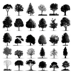 Fototapeta premium Collection of Thirty Different Tree Silhouettes Isolated on White Background.