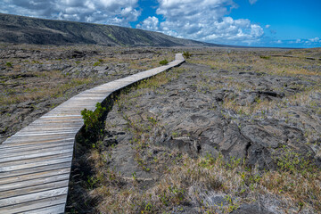 Along the Trail to the Pu'uloa Petroglyphs Field on Big Island, HI © Hanjo Hellmann