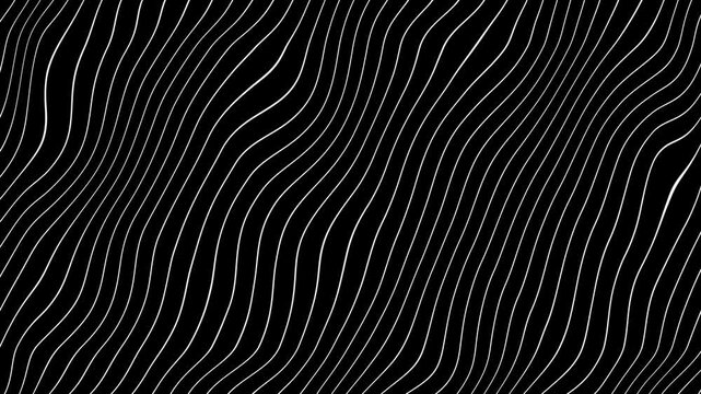 Wavy White Lines Flowing Dynamic Texture