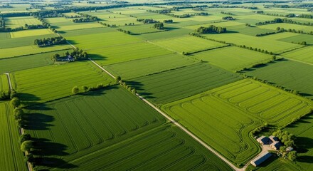 Fototapeta premium Aerial View of Green Fields and Farmland in Rural Landscape