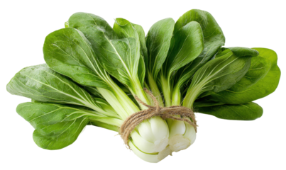 Freshly harvested bok choy, a leafy green vegetable, tied together with twine, ready for cooking.