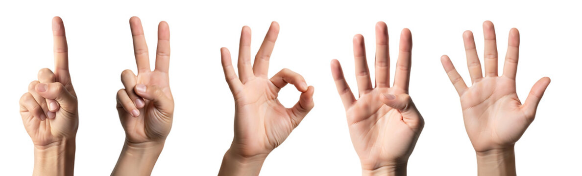 Counting with hands a visual representation of numbers one through five