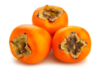 persimmon path isolated on white