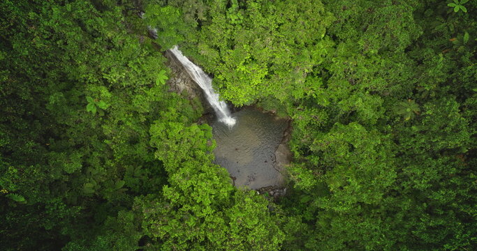 Fiji, Nadi Waterfall: Breathtaking aerial view huge waterfall cascading into a tranquil pond within a vibrant, untouched green rainforest. Drone flight panorama