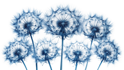 Fluffy white dandelion seeds floating against a soft blue background, captured in a dreamy, close-up aesthetic — delicate, airy, and light atmosphere.