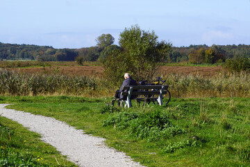 Meadow landscape with a shell walking path, a man sitting on a bench. Forest and dunes in the distance. Autumn, October, Netherlands.