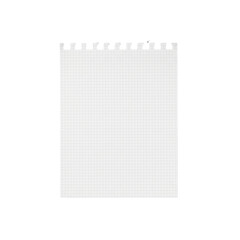 Torn edge squared paper sheet for notes and creative ideas, providing a versatile background for presentations, mockups, and artistic designs, ready for your unique touch