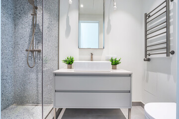 This modern bathroom features a spacious walk-in shower with stone walls and stylish fixtures. A sleek vanity with plants adds a touch of freshness to the clean, bright space