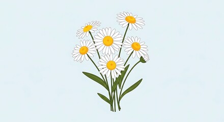 A beautiful bouquet of white daisies with green leaves on a light blue background.
