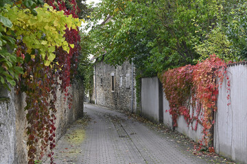 reilchen