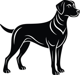 Abstract geometric pattern with bold lines and dynamic shapes creating a modern design isolated on transparent background