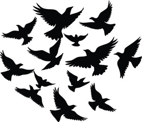 Close-up macro photograph of a single dew drop on a green leaf surface isolated on transparent background