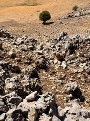 Red Trail on Pizzo Carbonara, the highest peak of Piano Battaglia, featuring panoramic mountain landscapes, rugged peaks, and scenic vistas in the Madonie Mountains, Sicily, Italy Carbonara mountain