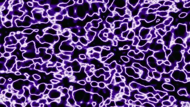 seamless leopard pattern background loop animation Video 