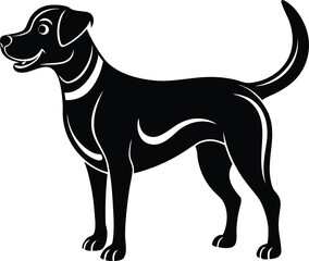 Abstract geometric pattern with swirling lines and dynamic shapes for modern design isolated on transparent background