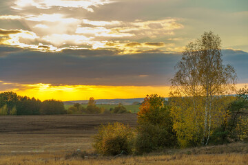 Fototapeta premium Sunset over a wheat field. The sun over an agricultural field where cereals are grown. Agriculture in an ecologically clean area.