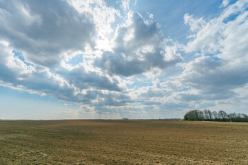 Obraz premium an empty, clean agricultural field, the concepts of eco-farming and organic farming. Clouds over a plowed field.