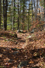 Marais Kingsbury 10 Octobre 2025