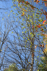 Obraz premium Marais Kingsbury 10 Octobre 2025