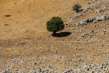 Red Trail on Pizzo Carbonara, the highest peak of Piano Battaglia, featuring panoramic mountain landscapes, rugged peaks, and scenic vistas in the Madonie Mountains, Sicily, Italy Carbonara mountain