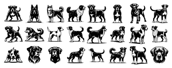 Dog breed engraving collection — 30 detailed canine poses and heads vintage vector set