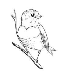 Coloring book happy birds for kids. Funny birds, flowers, leaves and berries. Flat vector illustration with cartoon bird silhouette. Cute characters. Minimalist poster design.