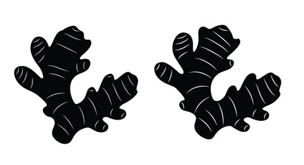 Two pieces of fresh ginger root illustrated in a simple black and white style
