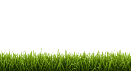 Fresh green grass, offering a vibrant and natural, isolated on transparent background