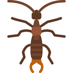 Brown Earwig Insect Close Up Top View Isolated On Transparent Background Simple Flat Illustration Style Detailed Graphic Of A Creepy Crawly Bug With Antennae And Pincers