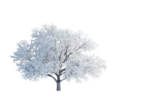 Snow background isolated on transparent background