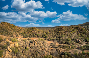 aerial view, African landscape hills in Botswana , rocky terrain and acacia trees