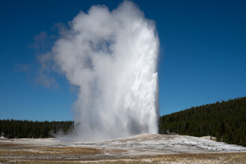 old faithful yellowstone national park