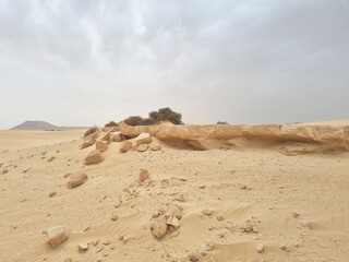 rock formations in Corralejo Natural Park, Fuerteventura, Canary Islands, Spain