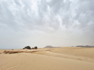 Sand dunes in Corralejo Natural Park, Fuerteventura, Canary Islands, Spain