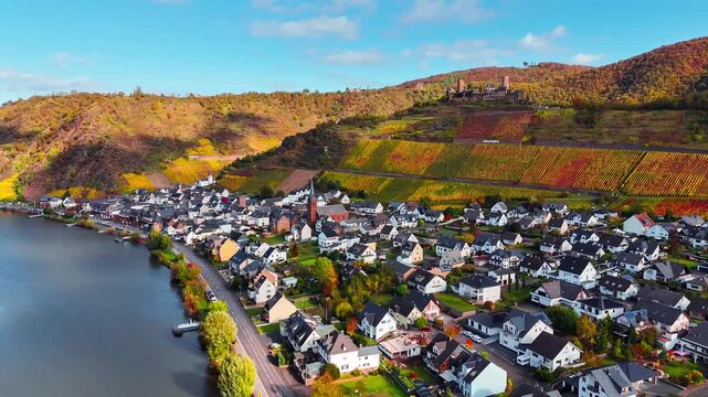 Aerial drone view of wine region of the Mosel Valley in autumn. Wine tourism Turant Castle, Rhineland-Palatinate, Germany . High quality 4k footage