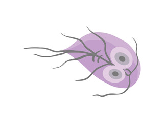 Protozoa Parasite Giardia Lamblia Illustration
