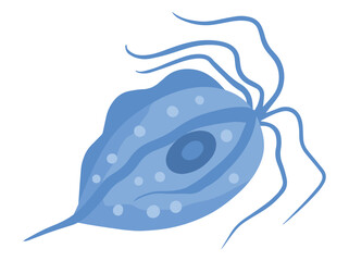 Trichomonas Vaginalis Parasite Clip Art
