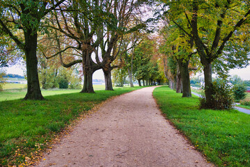 Scenic Autumn Pathway through Vibrant Tree-Lined Park with Green Grass and Fallen Leaves for Nature Lovers and Outdoor Photography