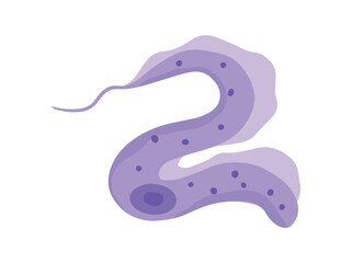 Trypanasoma Brucei Parasite Clip Art
