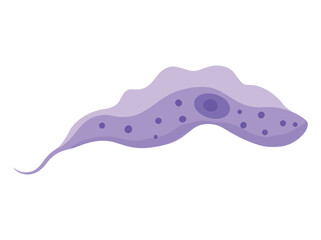 Trypanosoma Cruzi Parasite Clip Art
