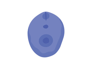 Leishmania Donovani Parasite Clip Art