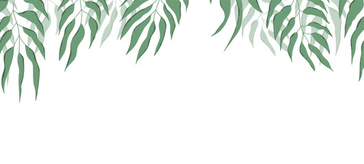 Floral web banner with drawn color exotic leaves. Nature concept design. Modern floral compositions with summer branches. Vector illustration on the theme of ecology, natura, environment.