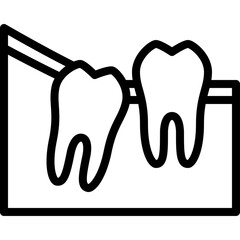 Dental X Ray Image of Two Teeth on a Transparent Background Outline Style